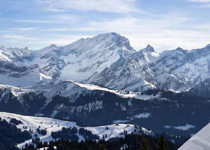 Matin Calme By Interhome アパート Chesières