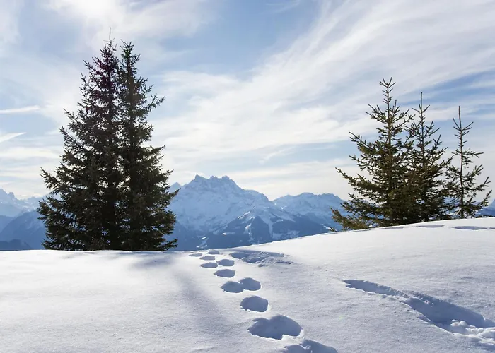 Matin Calme By Interhome