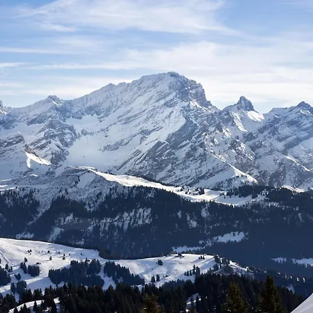 Matin Calme By Interhome Apartamento Chesières